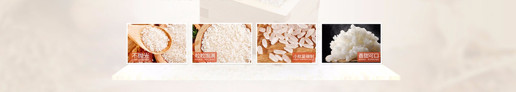 重庆市某某橡塑制品培训学校